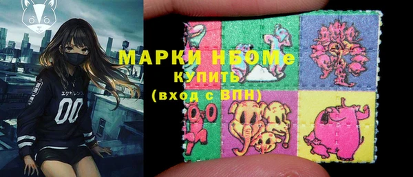 индика Алзамай