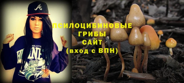 дмт Аркадак
